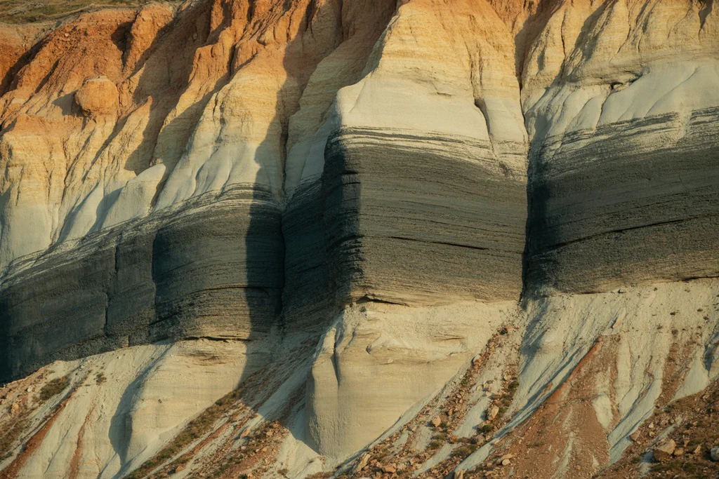 Geological strata showing leonardite deposits
